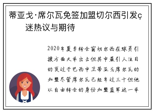 蒂亚戈·席尔瓦免签加盟切尔西引发球迷热议与期待