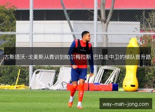 古斯塔沃·戈麦斯从青训到帕尔梅拉斯 巴拉圭中卫的梯队晋升路 古斯塔沃·戈麦斯从青训到帕尔梅拉斯 巴拉圭中卫的梯队晋升路